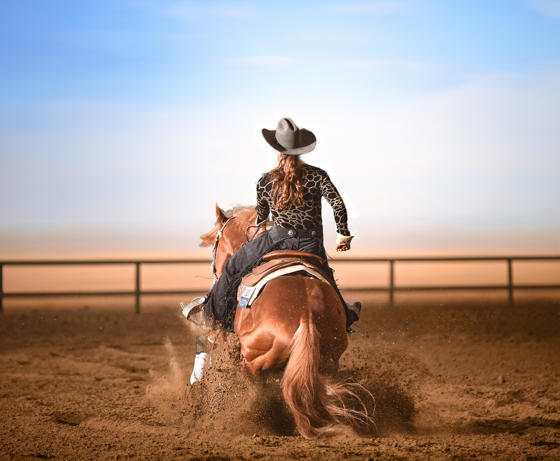 Dark brown reining horse performing a sliding stop in an arena